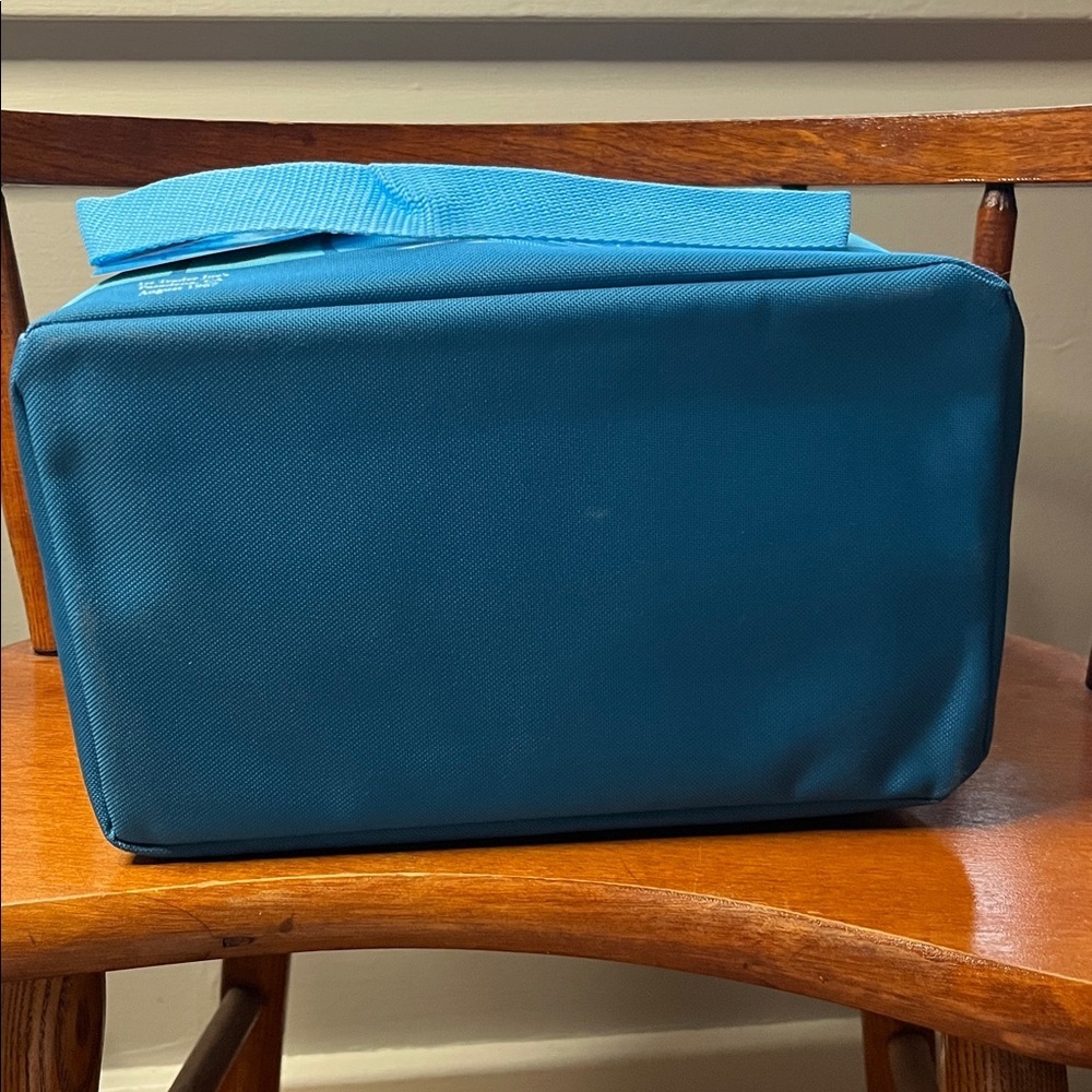 NWT Trader Joe’s Mini Insulated Lunch Bag in blue - Picture 5 of 9
